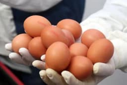 Stižu veganska jaja nastala u laboratoriji