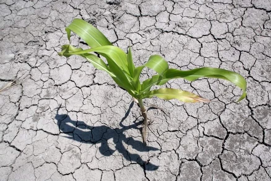 Svijetu prijete glad, patnja i nemiri