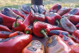 3 RECEPTA za jela od PEČENIH PAPRIKA