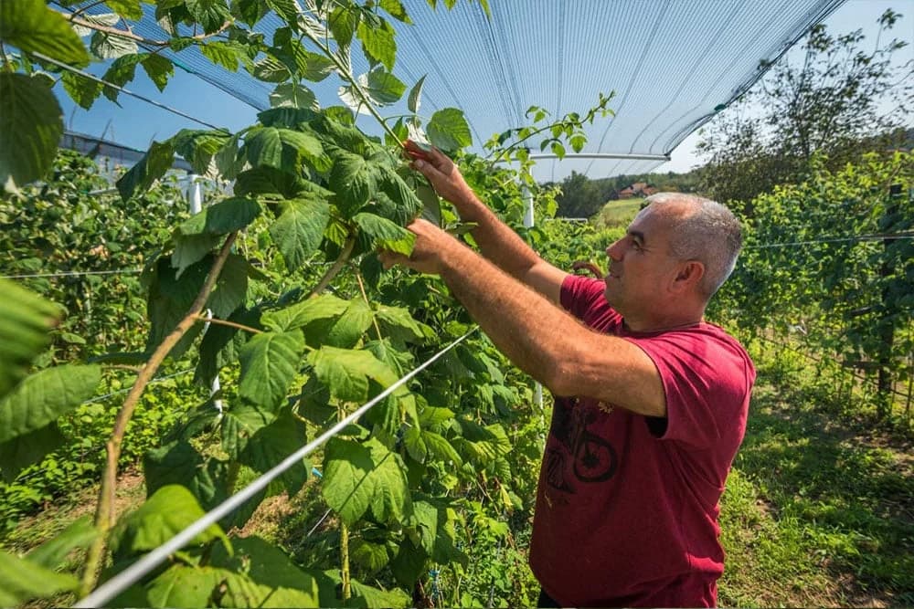 UNDP: Javni poziv potencijalnim korisnicima bespovratnih sredstava