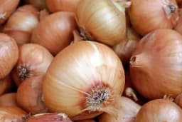 Pravilno skladištenje luka - Održite kvalitet lukovica