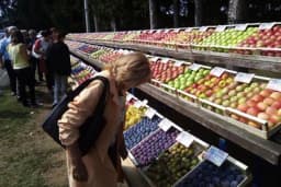 Gradiška velikim slovima upisana na voćarskoj karti Evrope