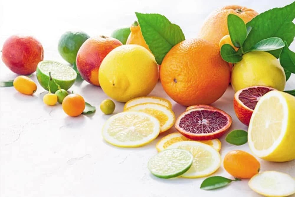 Ova klima najviše odgovara CITRUSIMA