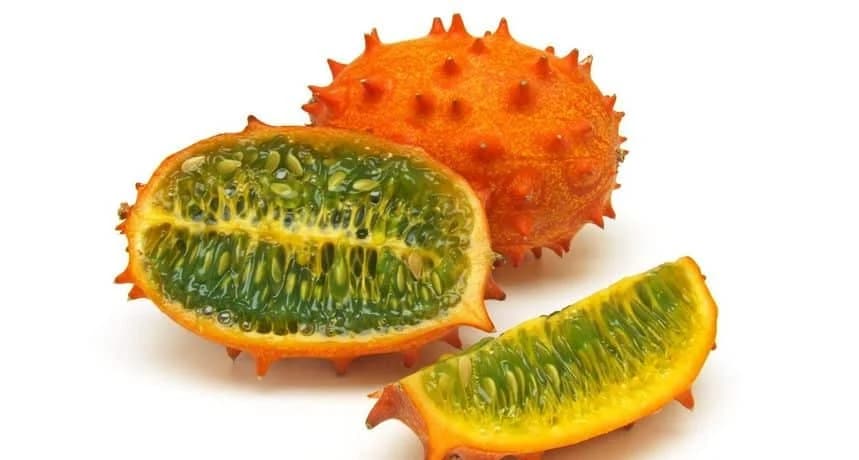 U Mačvanskom kraju gazdinstvo Smiljanić proizvodi neobično voće - afričku rogatu dinju /VIDEO/