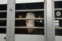 Šaroviću dat rok od sedam dana ili farmeri izlaze na ulicu