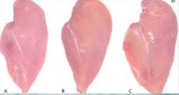 Jedan od ova tri komada mesa nikako ne treba da kupite – evo i zašto