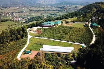 Pogledajte kako izgleda Malak Farma, jedinstvena lokacija seoskog turizma i organske poljoprivrede i stočarstva