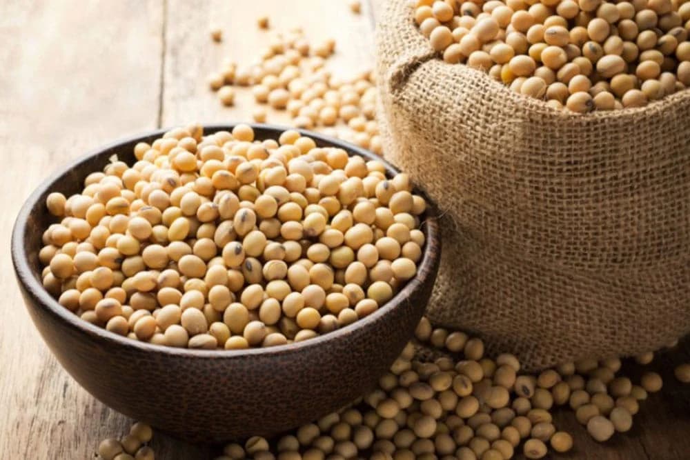 ŠTA SVE TREBA DA ZNATE O LECITINU