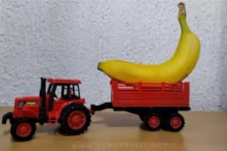 Uvezli rekordnu količinu banana u 2019. godini