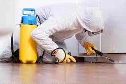 Šta je to DERATIZACIJA i kako se sprovodi?