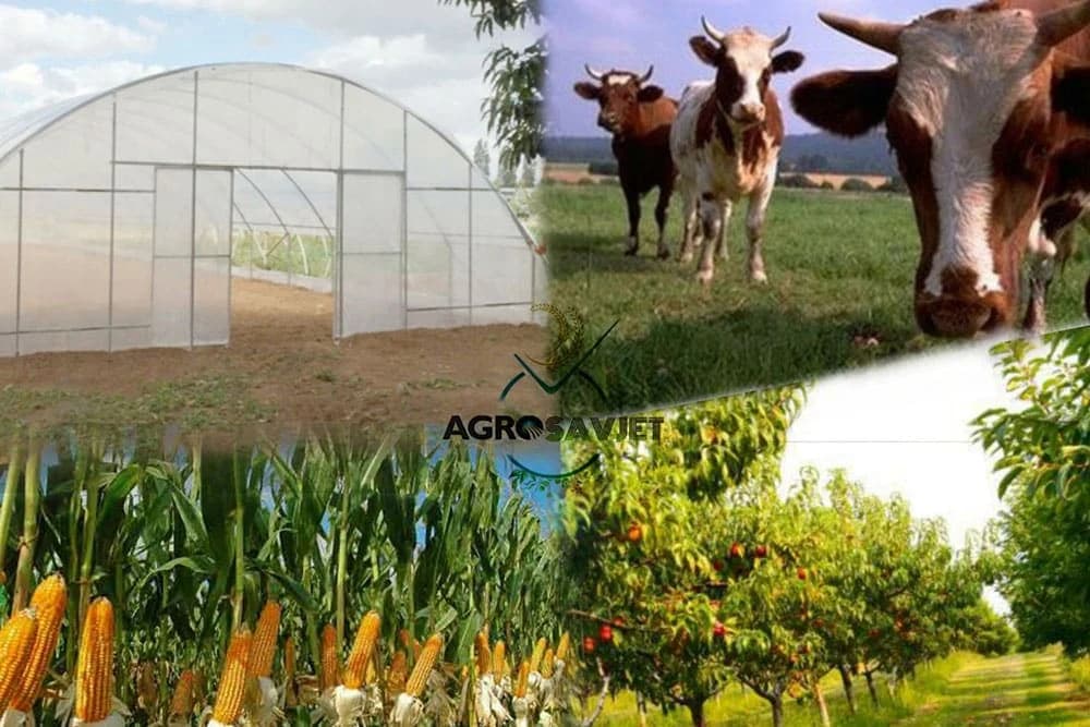 Proizvodnja hrane mora biti apsolutni prioritet