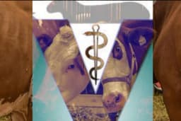 Veterinarska komora FBiH i dalje ne smije obavljati poslove propisane zakonom