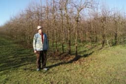 Jovo Lepir, voćar i u devetoj deceniji života