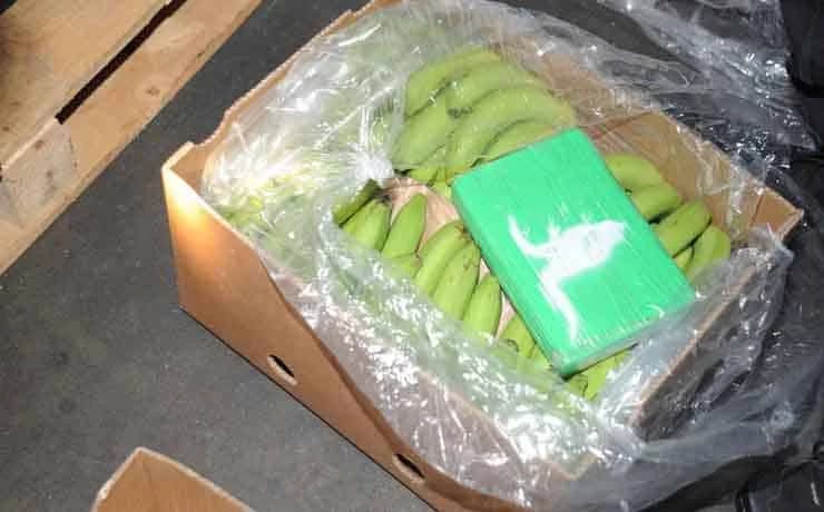 Tona kokaina s bananama zaustavljena na putu za BiH