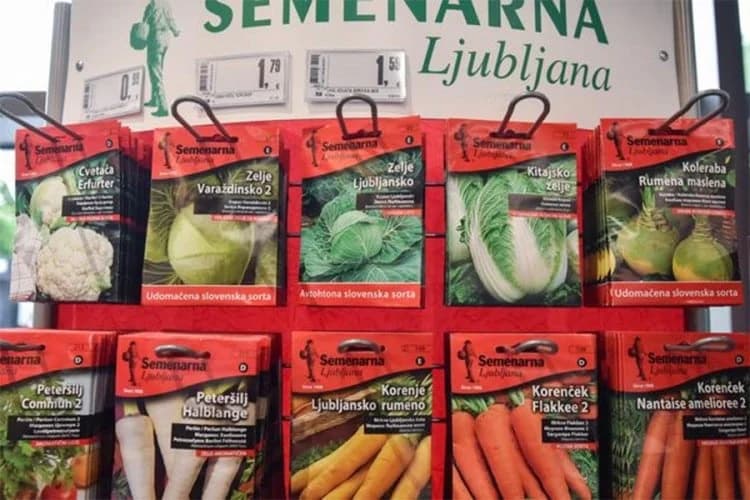 Srpski biznismen novi vlasnik Semenarne Ljubljana