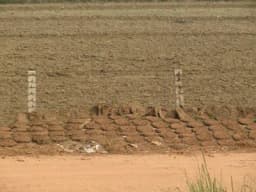 Ovi poljoprivredni proizvodi se sve više prodaju ali i proizvode širom svijeta!