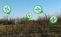 Nedostatak azota u voćkama