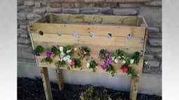 Izbušila je 19 rupa na drvenoj kutiji - 5 mjeseci kasnije, svi su ljubomorni na njeno dvorište!