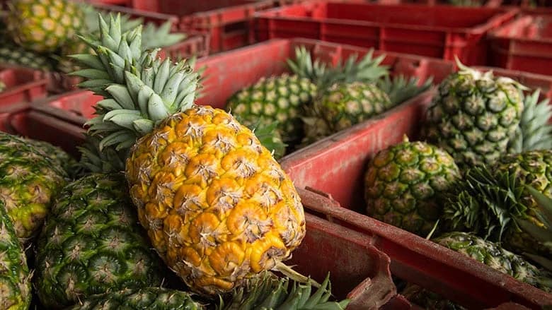ČUDESNO VOĆE: Ananas pomaže kod mnogih bolesti, ali ne smiju svi da ga konzumiraju