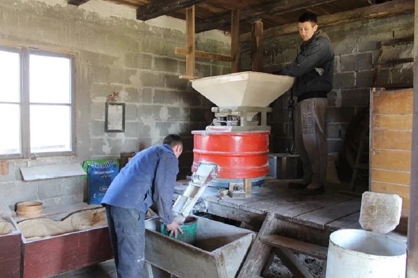 Svestrana braća iz Gradiške aktivna u stočarstvu i ratarstvu