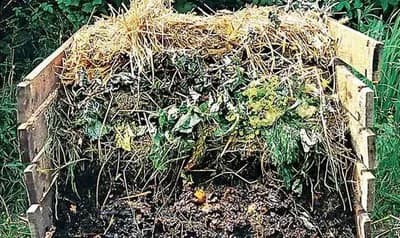 Kompost, stajnjak ili nešto treće - 4 načina da poboljšate zemljište u bašti