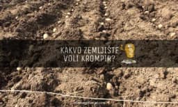 NA OVAKVOM ZEMLJIŠTU KROMPIR DAJE NAJVEĆI PRINOS
