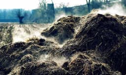 Stajsko đubrivo - Vrste, kvalitet i vrijeme primjene!