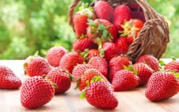 Kako da uzgajate JEDNOMJESEČNE JAGODE