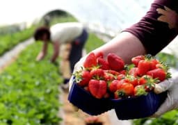 Srbija dobija novi zakon o sezoncima