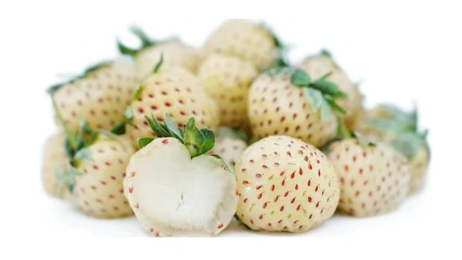 jagoda ananas