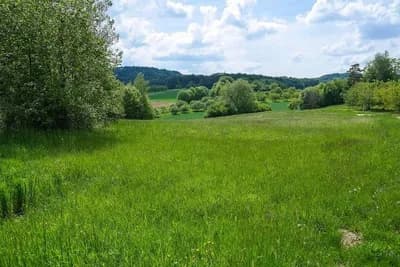 Prirodne livade i pašnjaci – Kako povećati prinose