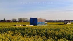 Seoba pčela: "Med na točkovima"