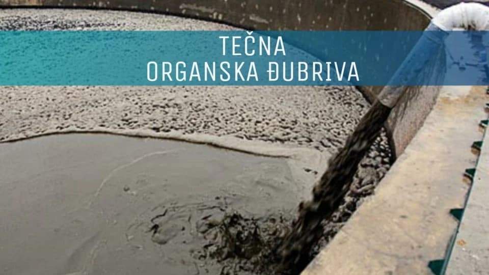 osoka