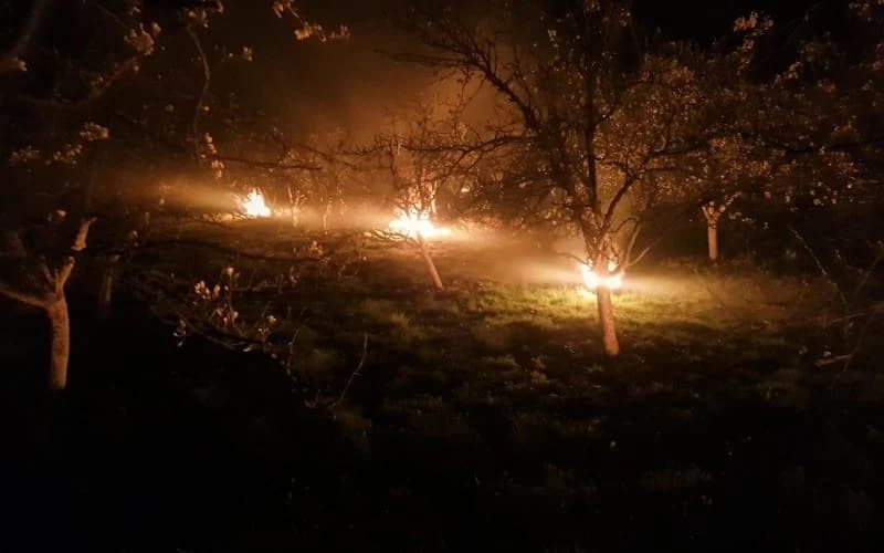 Zadimljavanjem voćari štitili rod