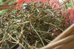 Ne bacajte peteljke od TREŠANJA - Evo kako ih možete iskoristiti