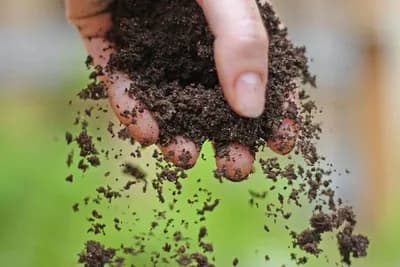 uzmianje uzoraka za analizu zemljiša