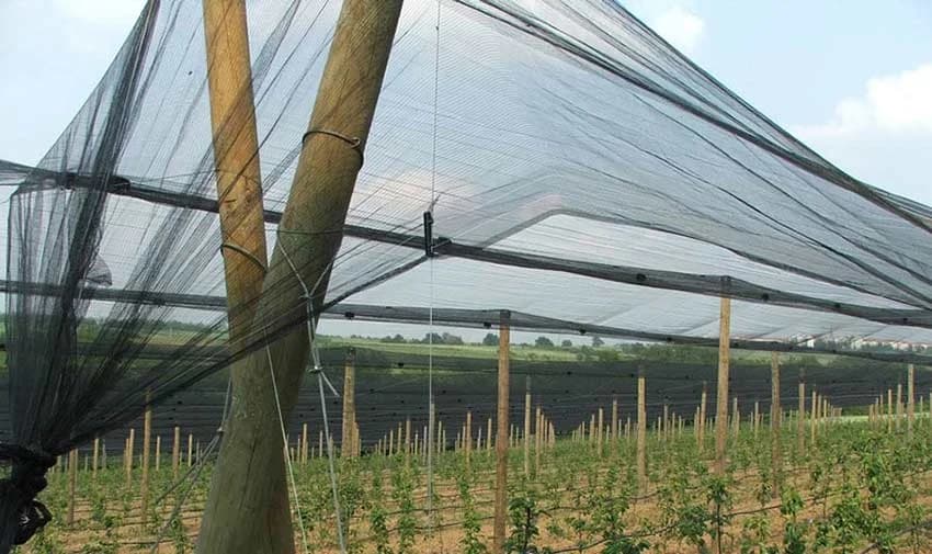 Protivgradne mreže: Evo o čemu treba voditi računa pri izboru