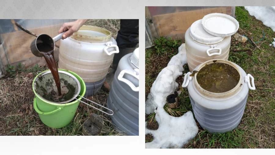 Kompostni čajevi: Prirodna prihrana vaših biljaka