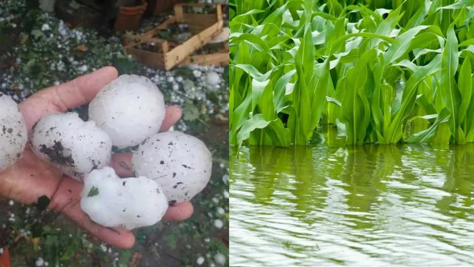 Po NARODNOM vjerovanju kada predstoje NEPOGODE?