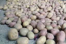 Čuvanje povrća - Efikasan način koji će očuvati svježinu plodova!