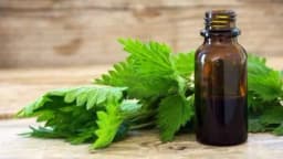 Prirodni losion protiv opadanja kose /RECEPT/