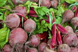 Ključni korak u organskoj proizvodnji cvekle