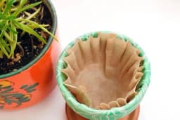 Stavite u saksiju filter za kafu i vaše cvijeće nikada neće uvenuti!