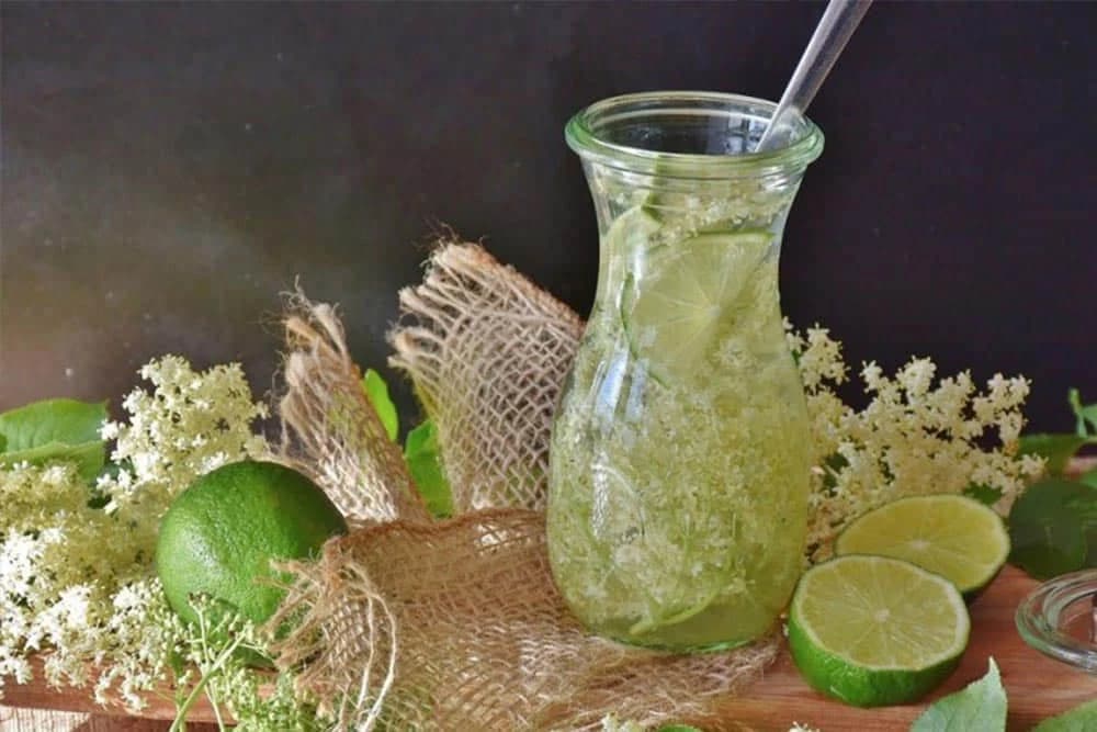 Domaći recepti za sok, džem, liker i pohovanu zovu