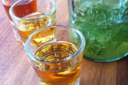 Kako napraviti domaći PELINKOVAC