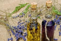 Prirodni šamponi za spas kose!