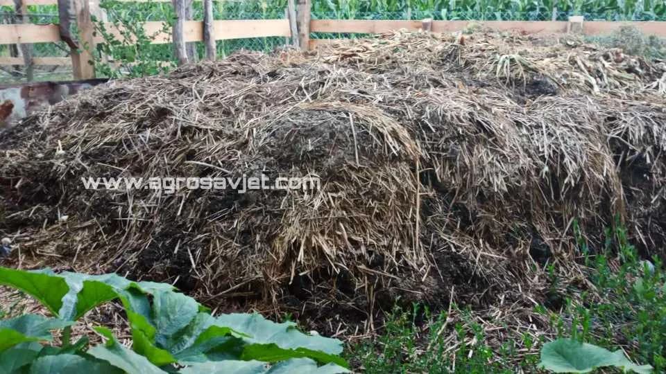 Organsko đubrivo stajnjak