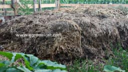 Ovo će vas potpuno iznenaditi - Najbolje organsko đubrivo nije kravlji stajnjak, a ni kokošiji