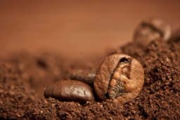 Evo šta se dešava kada prospete TALOG KAFE u baštu!