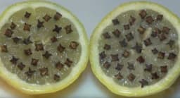 Limun i karanfilić u borbi protiv komaraca